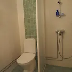 Hotel Laitilan Kievari 3*